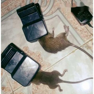 BẪY CHUỘT HÀM ẾCH THÔNG MINH HIỆU QUẢ - Đồ chơi giá sỉ