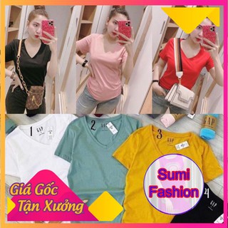 Áo thun gap cổ tim siêu hot