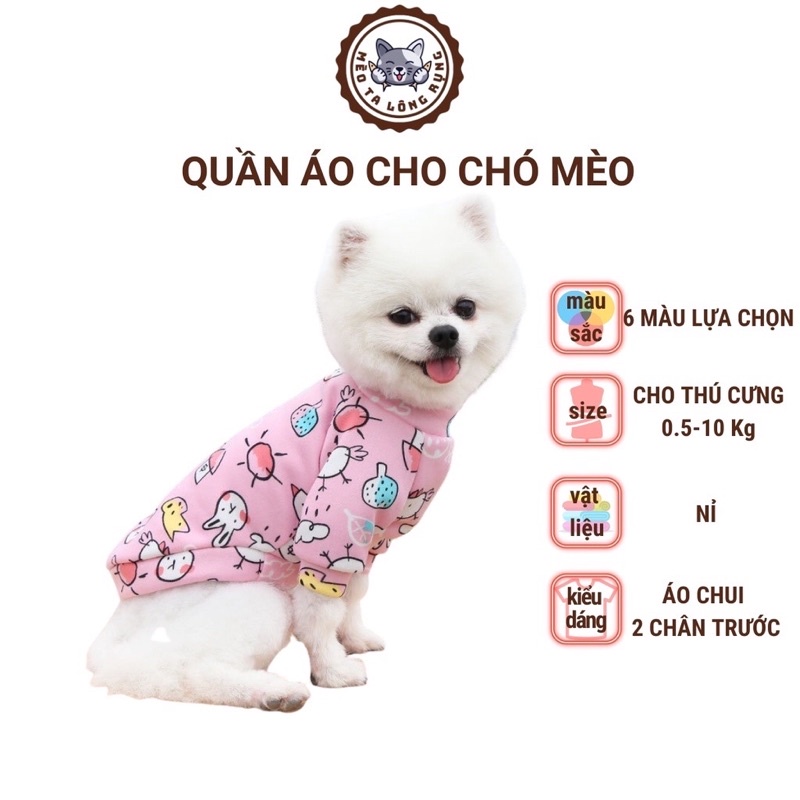 áo nỉ xinh xắn cho chó mèo thú cưng