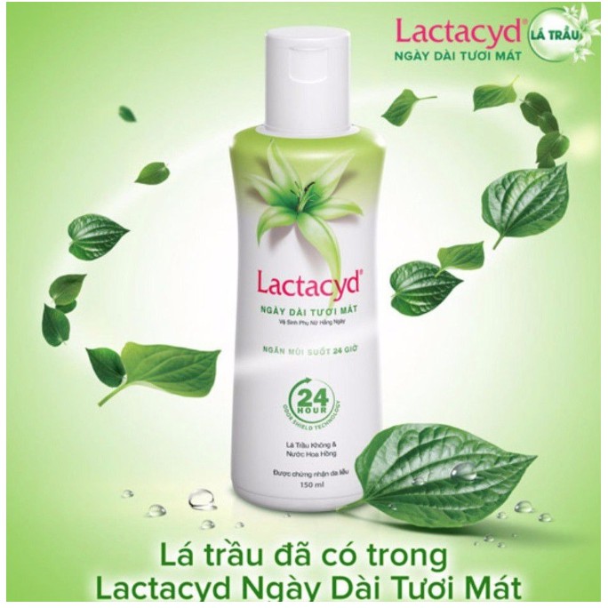 Dung Dịch Vệ Sinh Phụ Nữ Lactacyd Tinh Chất Lá Trầu Không Chai 150ml