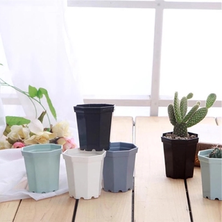 High Quality Plastic Mini Octagon Flower Pot