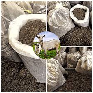 1KG PHÂN DÊ ĐÃ QUA XỬ LÝ PHƠI KHÔ