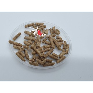 50gr Thức Ăn Twins Shrimp Food Type B
