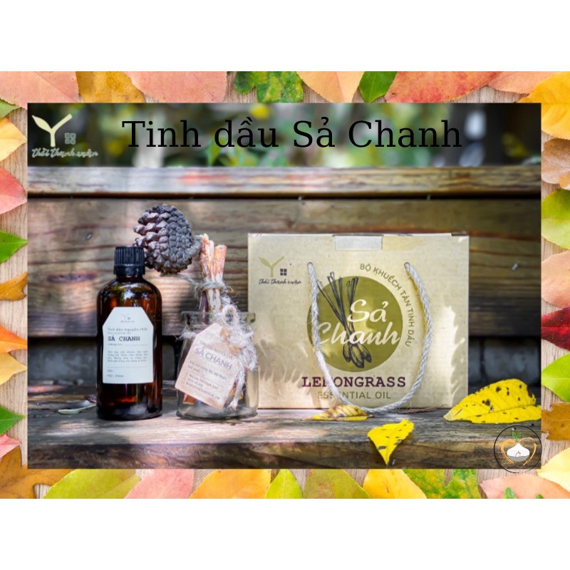 Tinh dầu thơm phòng,đuổi muỗi, tinh dầu sả nguyên chất SẢ CHANH -Bộ khuếch tán gỗ thông 50ml ''Nhà của Thời Thanh Xuân''