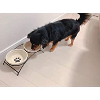 Chén bát ăn đôi Elite bằng sứ có chân kê bát chống trượt, chống gù cho chó mèo - chén rời dễ dàng vệ sinh