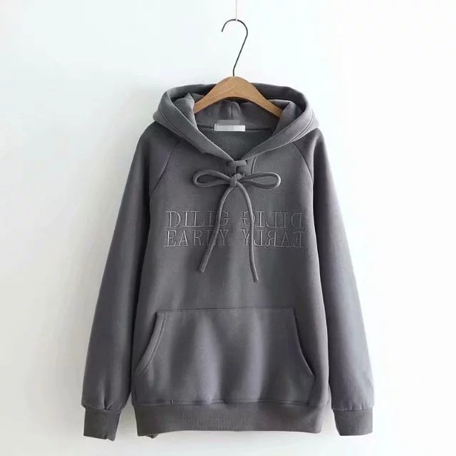 [Video thực tế] Áo hoodies nỉ ngoại cao cấp thêu DILIG - chống xù lông form 65kg T009