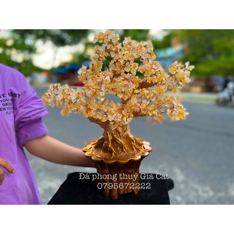 Cây tài lộc bằng đá thach anh vàng 50 cm có kiểm định