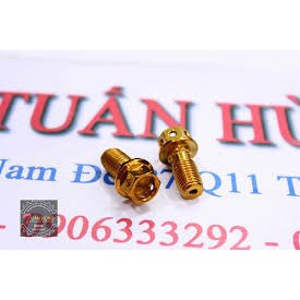 Ốc Dầu phi 12