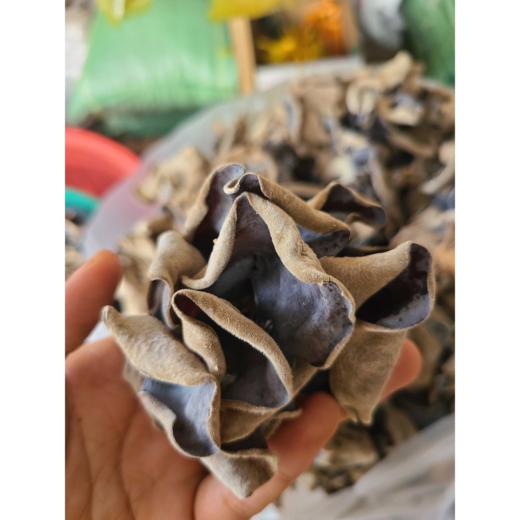 Nấm mèo - Mộc nhĩ Đà Lạt to dày
