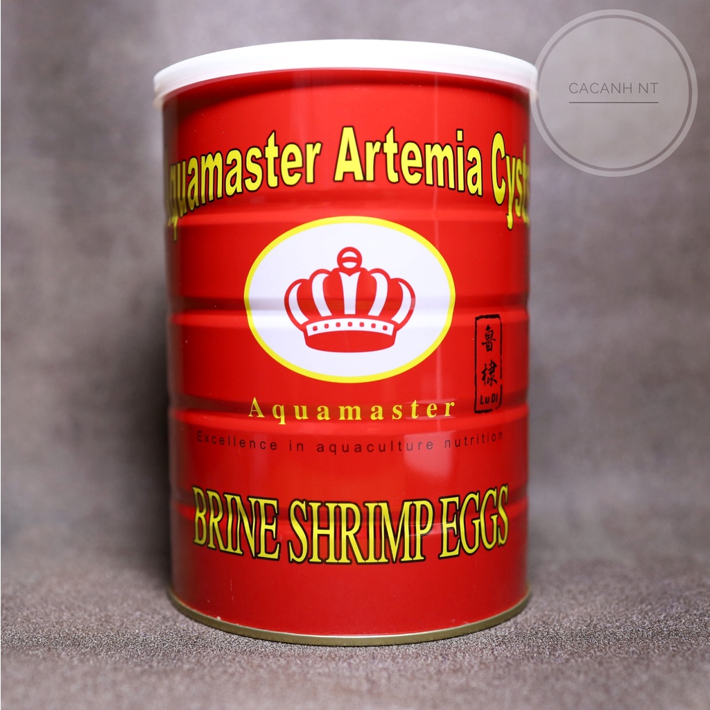 Artemia Lon Đỏ , thức ăn cho cá con mới nở
