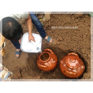 CỐT NGHỆ GỪNG HẠT GẤC HẠ THỔ