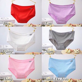 Quần lót cotton Pulo size to XL