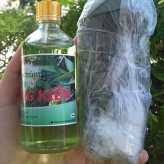 Dầu tràm nguyên chất 50ml