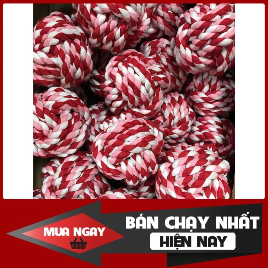 [ Bán sỉ ] ĐỒ CHƠI BÓNG CUỘN THỪNG TẬP CẮN