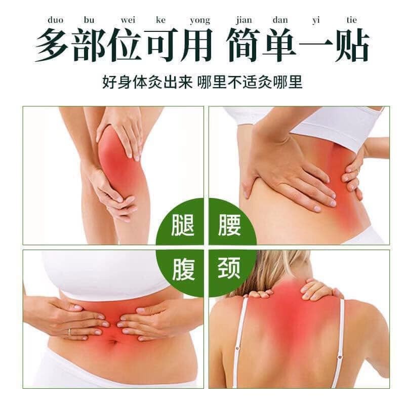 Hộp 12 Miếng Dán Vai Gáy Đông Y Thảo Dược