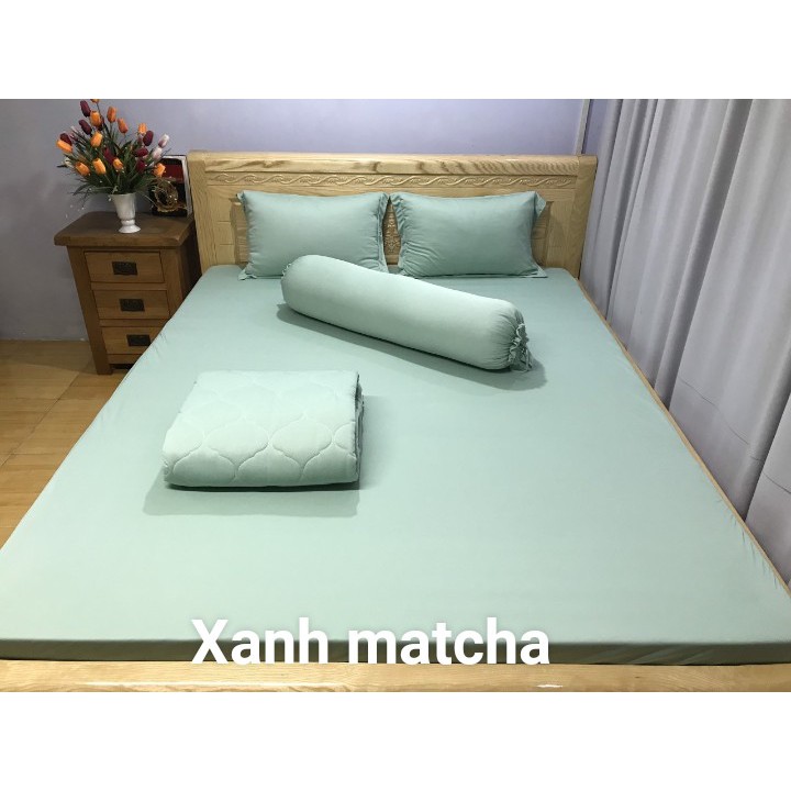 bộ ga thun hàn quốc 2m2