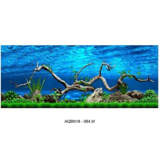 Tranh 3D bể cá kt 50x30;60x40;80x50;90x50;100x50;120x60cm; 150x60cm