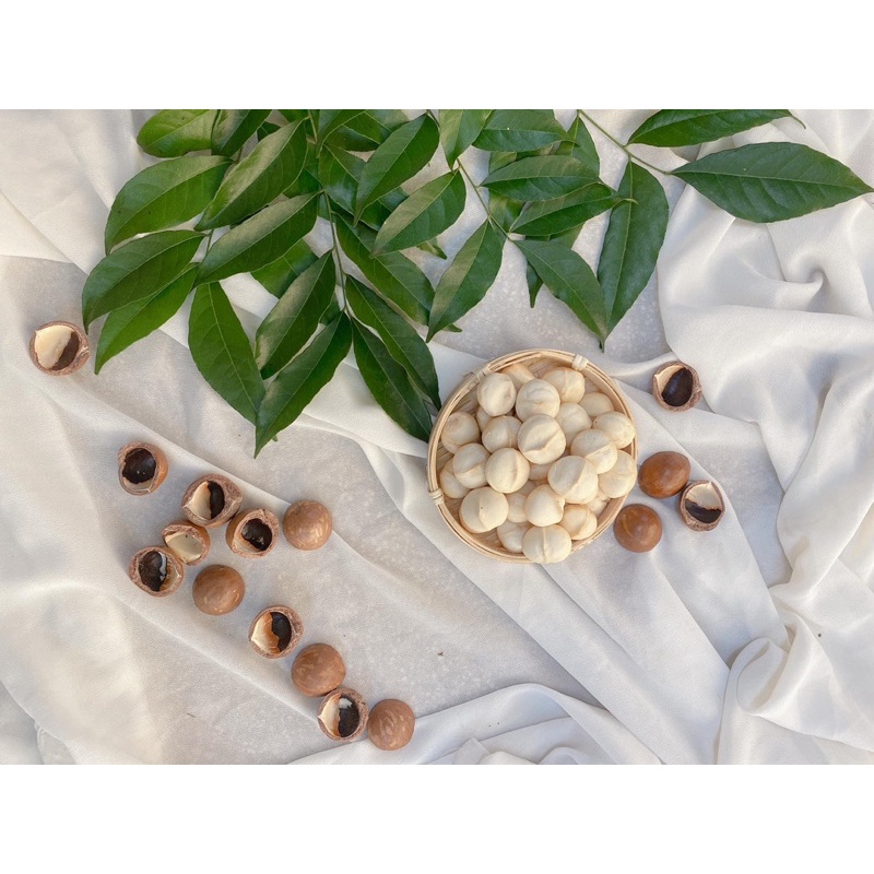 Hạt Macca Bóc Sẵn Trần Anh Food - Hạt Macca Đắc Lắc bóc sẵn nhận vể không cần bóc Hàng xuất khẩu chuẩn chất lượng 100%