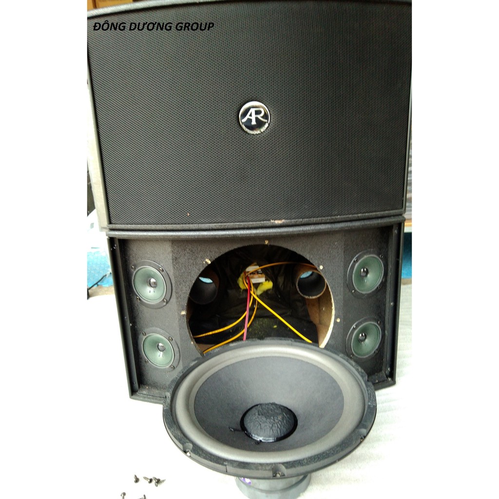 THÙNG LOA KARAOKE BASS 30 AR AUDIO CAO CẤP - GIÁ 1 CẶP