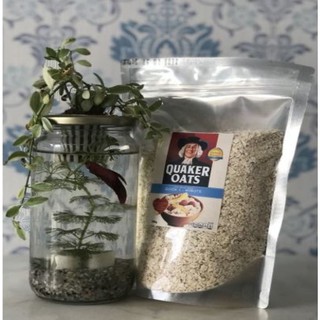 Combo 5 gói yến mạch 500gr