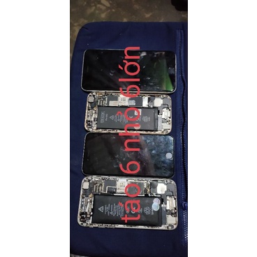 Xác đ t táo 6 nhỏ 6lớn