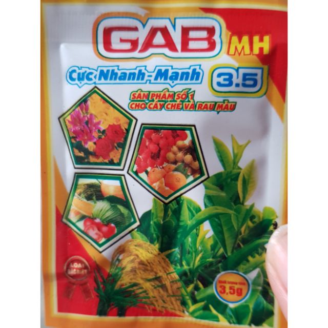 Phân bón GA3 Kích thích nảy chồi, bật mầm Hoa, cây cảnh