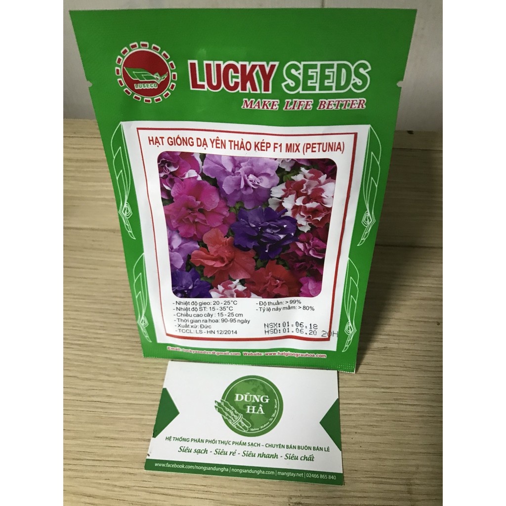Hạt giống hoa dạ yến thảo kép F1 50 hạt