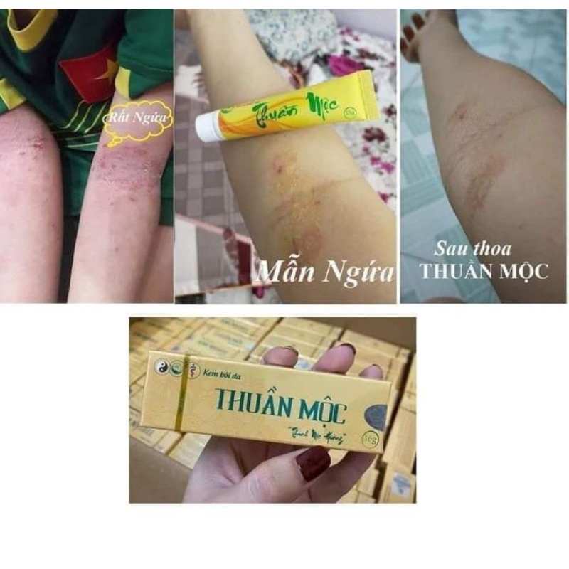THUẦN MỘC CHÍNH HÃNG