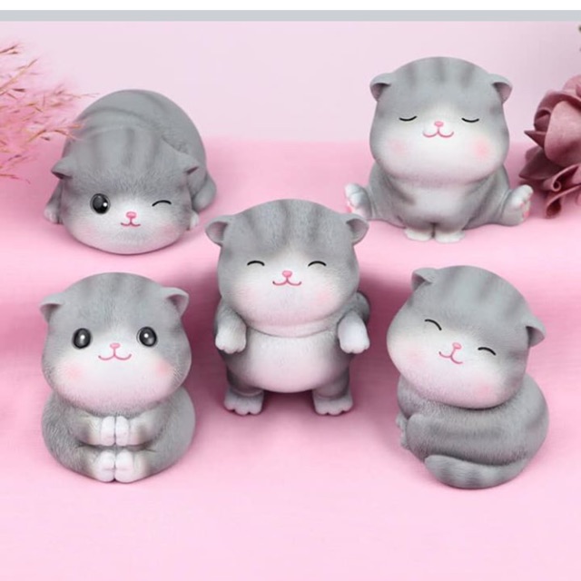 Bộ mèo 5 con 5 sắc thái