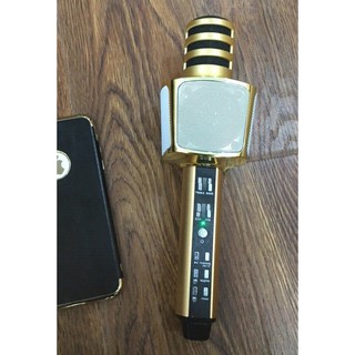Mic hát karaoke SD-17