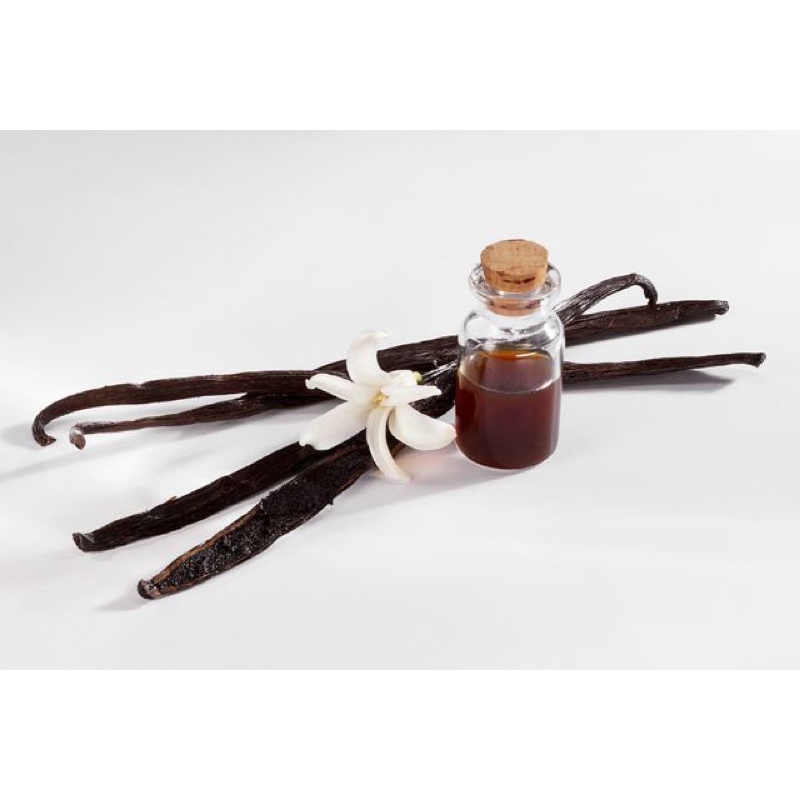 Hương vani nước Best Odour 450ml / Tinh dầu vanilla