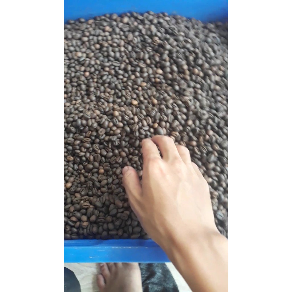 Cà phê rang mộc giá sỉ - CULI - 120/kg