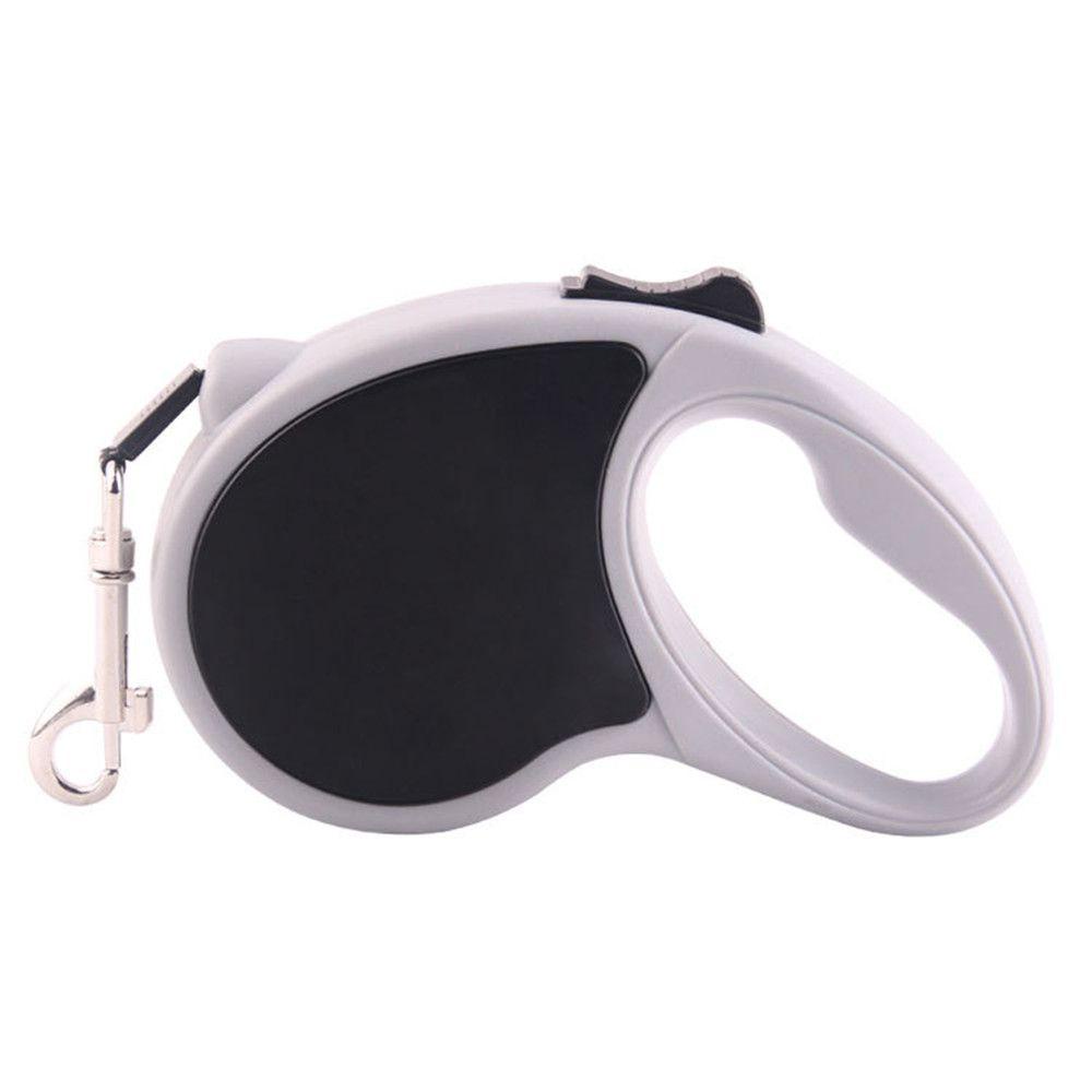 Dây Dẫn Thú Cưng Đi Dạo Tự Động 5m