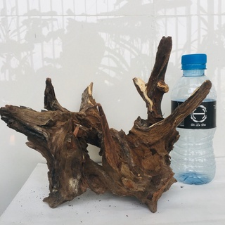 Gỗ lũa thủy sinh, lũa bể cá, lũa làm bonsai siêu đẹp, kích thước lớn 4095