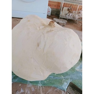 Bột sâm tố nữ 500gr