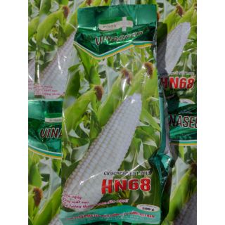 Hạt giống NGÔ NẾP LAI HN 68 ( bán lẻ Nửa lạng 15k ) ( hạt xanh )