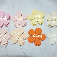 Combo 100 set hoa cắt sẵn( chat chọn màu)