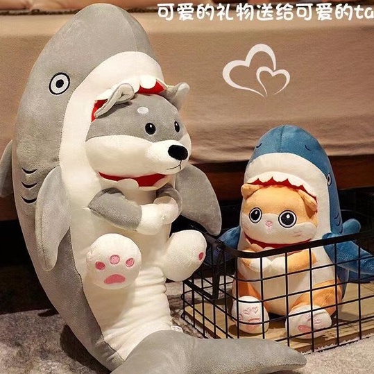 Gấu Bông Husky Cá Mập Cute, Husky Mặt Ngáo Cute Có Khóa Kéo, Thú Bông- Qùa Tặng