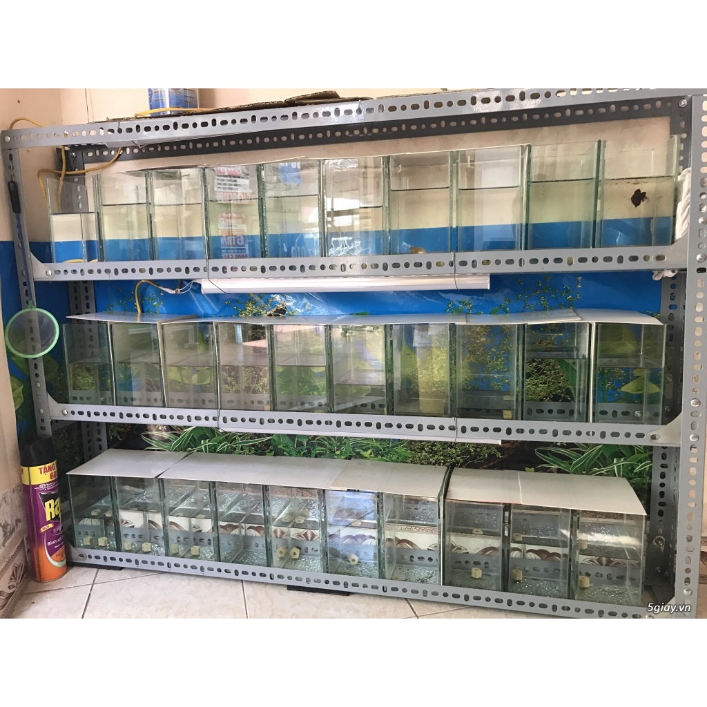 Tấm nhựa ABS đen chắn hồ cá cảnh 0.5mm, 18cmx25cm