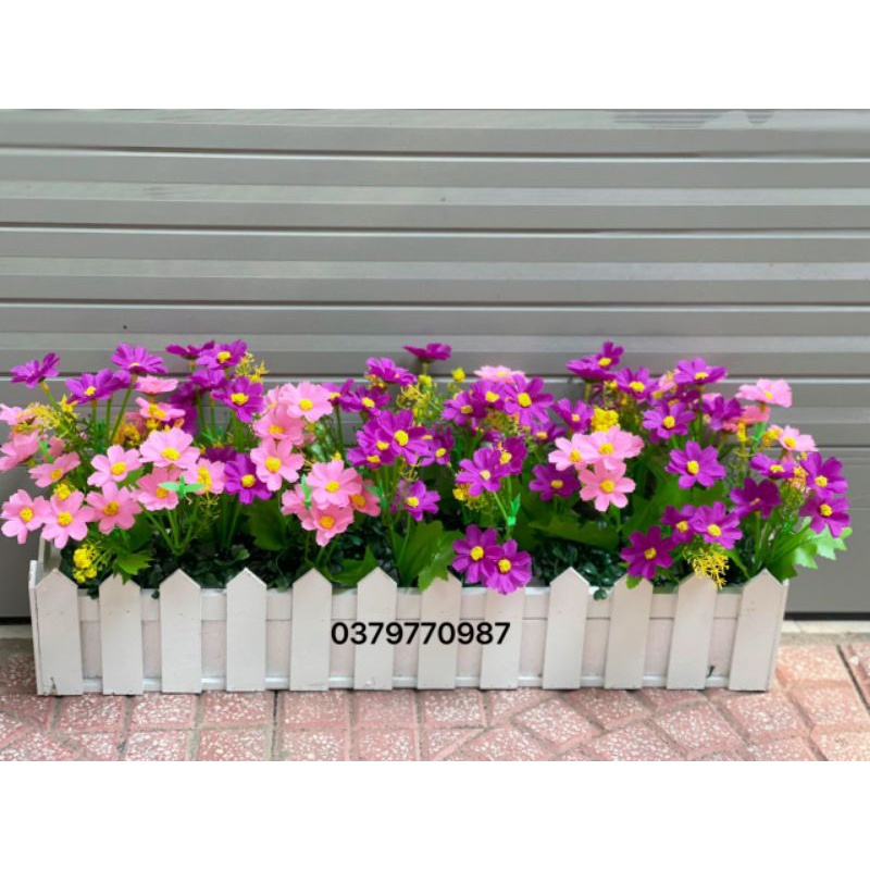 Chậu hàng rào gỗ hoa 50cm hàng sẵn. Có bán riêng chậu 50cm, 100cm