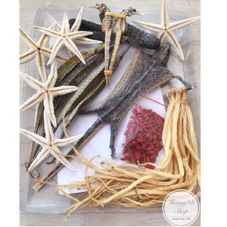 7 món Ngâm Riệu từ 4-6 lít ( tắc kè 1, cá ngựa 2, hải long 5, sao biển 5, hải sâm 2,hạt kỷ tử, đặng sâm)