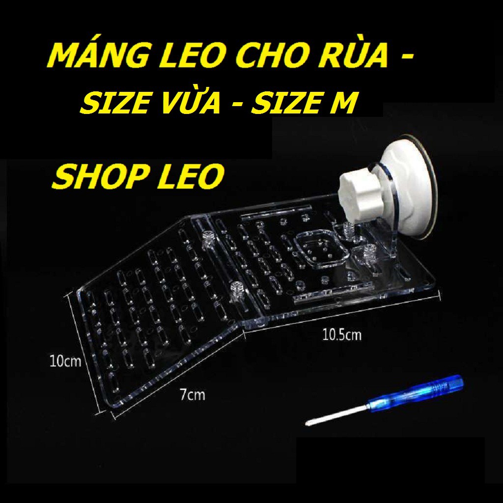 MÁNG LEO CHO RÙA NƯỚC MIKA SIZE TO