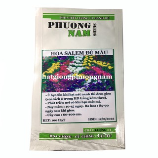 Hạt giống hoa Salem Mix