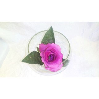 LY THỦY TINH CHƠI CÂY THỦY SINH