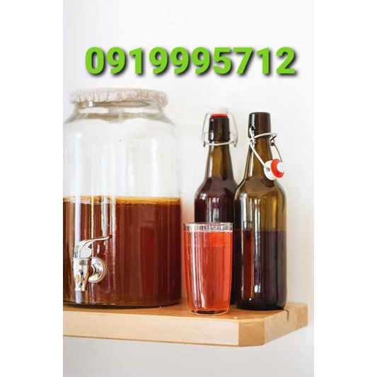 NẤM THỦY SÂM KOMBUCHA LÊN MEN TRÀ VÀ ĐƯỜNG MÍA/ MẬT ONG CÓ GA THƠM NGON