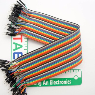 Dây nối 2 đầu 20CM (40 sợi )