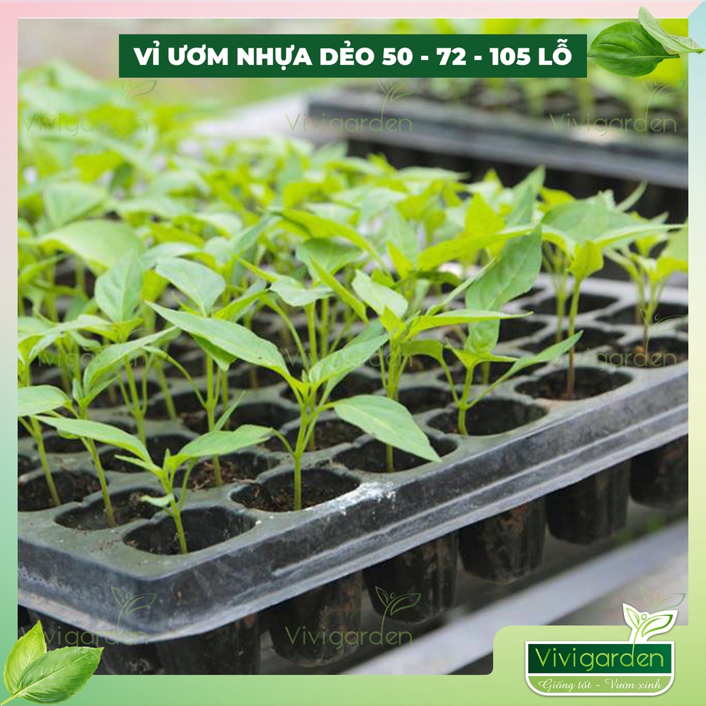 Vỉ Ươm 32-50-72 Lỗ - Bao Bể Gẫy, Siêu bền, trồng cây, ươm hạt, nhân giống cây trồng