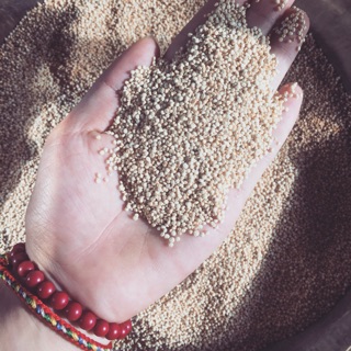 HẠT DIÊM MẠCH ( Quinoa ) 500gr