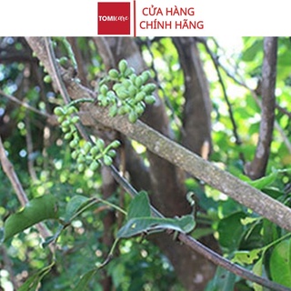 Dây gắm khô thượng hạng Sasuke 1kg