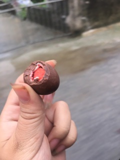 KẸO SOCOLA BỌC DÂU TÂY SẤY